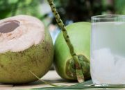 4 Kelompok Orang Yang Tidak Boleh Minum Air Kelapa